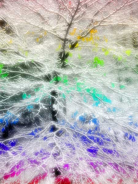 Source of All the Rivers of Life