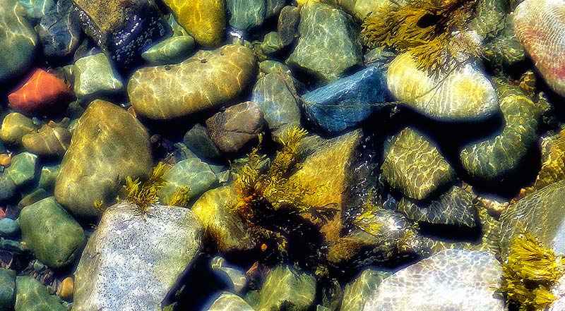 Murphy's Cove Nova Scotia