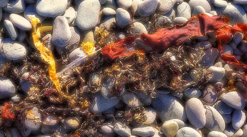 Spry Bay Nova Scotia