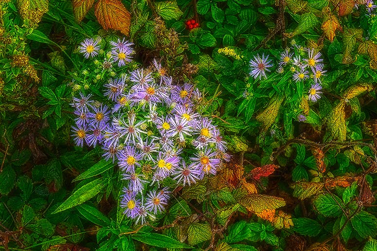 Red Point, Prince Edward Island