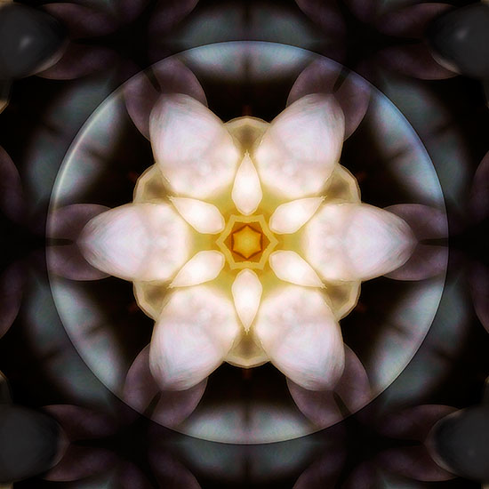 Flower of Life 11