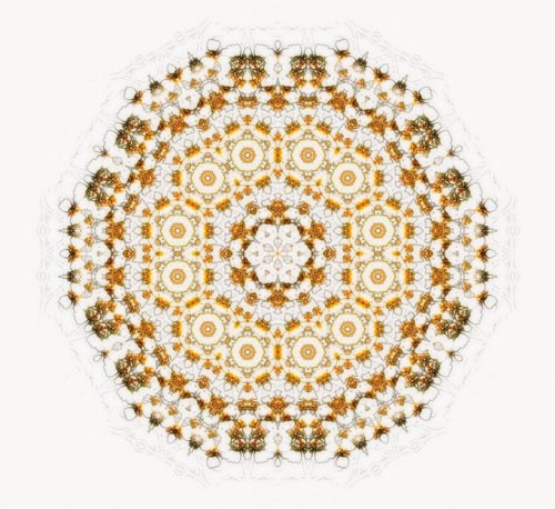 Circle_Of_Compassion