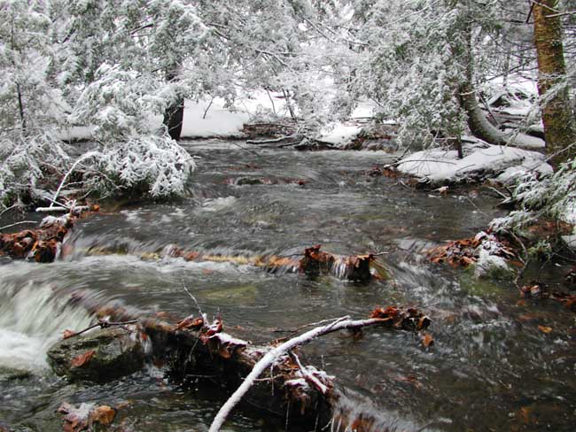 The Brook Back of the House