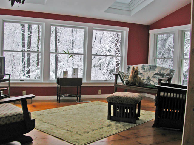 Watson Enjoying the Sunroom