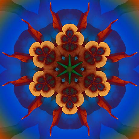 Kaleidoscope 17