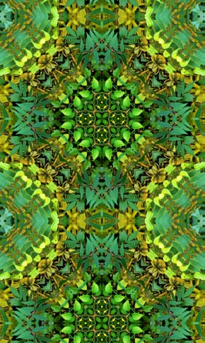 Kaleidoscope 6