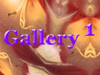 Gallery 1