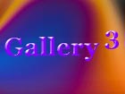 Gallery 3