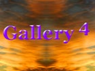 Gallery 4