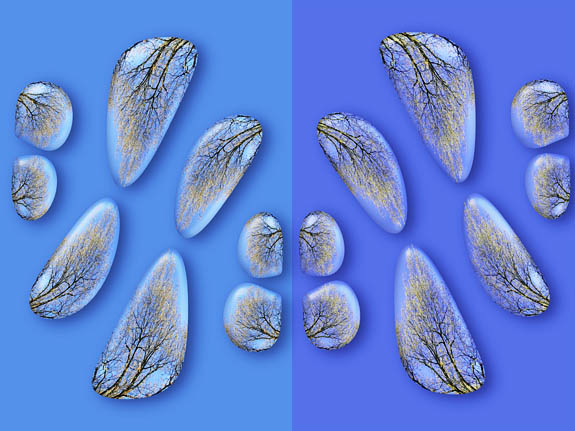 Joyful Spring of the Oak