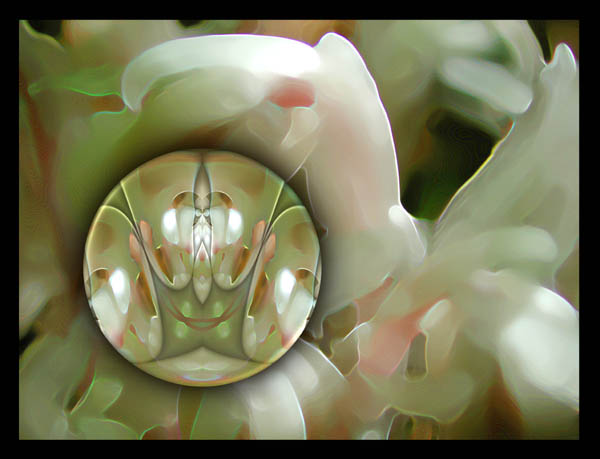 The Origin of Flowers II