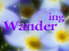 Wandering 